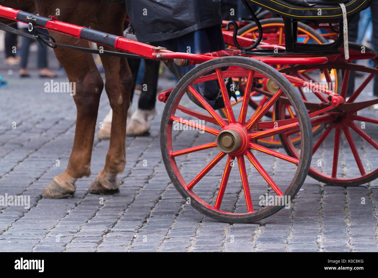 Tradizionale carrozza trainata da cavalli in roma, Italia Foto Stock