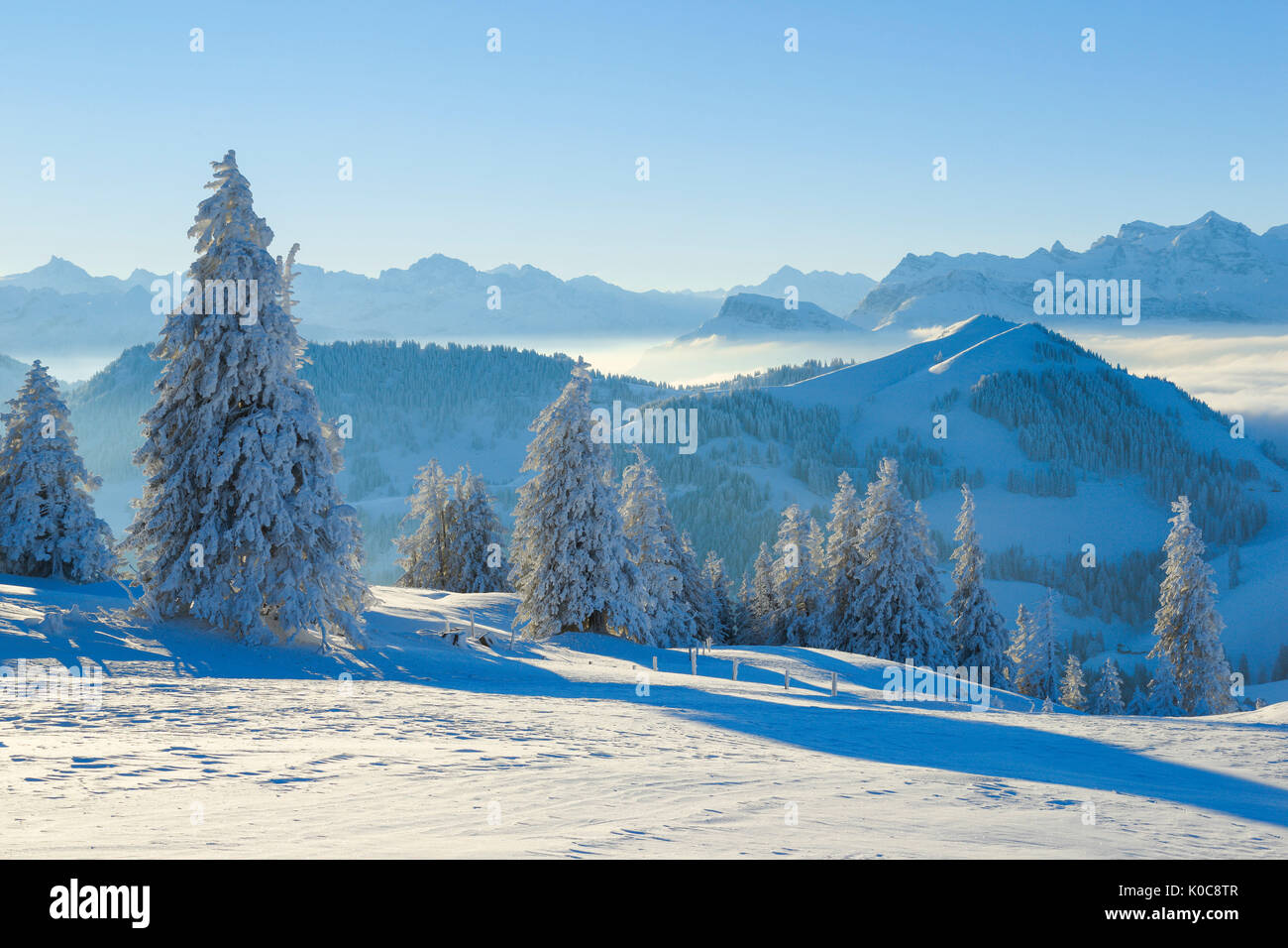 Aussicht von der Rigi, Schweiz Foto Stock