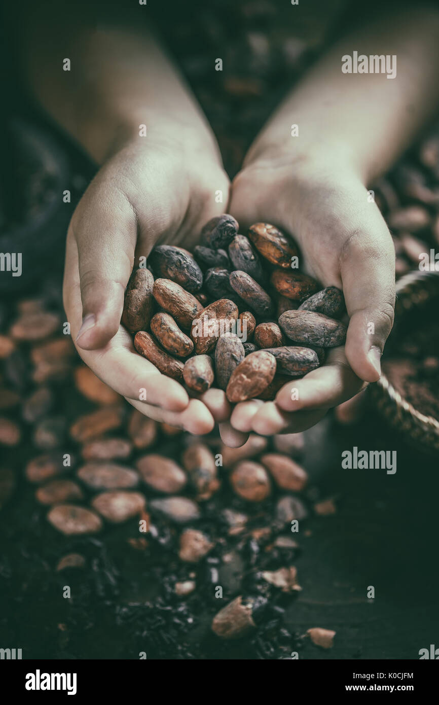 Mano azienda aromatico fave di cacao, primo piano Foto Stock