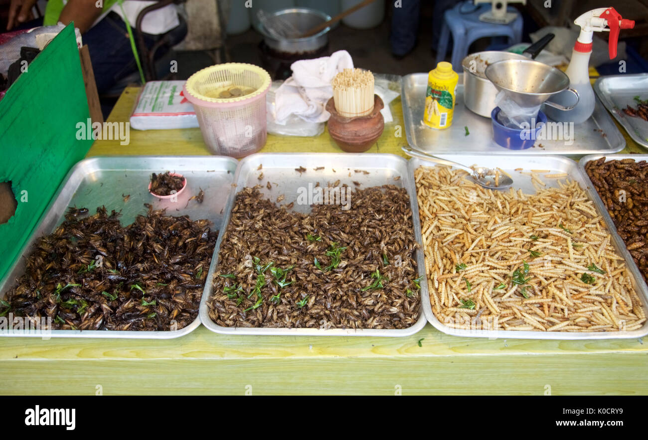 Grilli fritti e bug per la vendita su un mercato thailandese stallo, phuket , della Thailandia Foto Stock