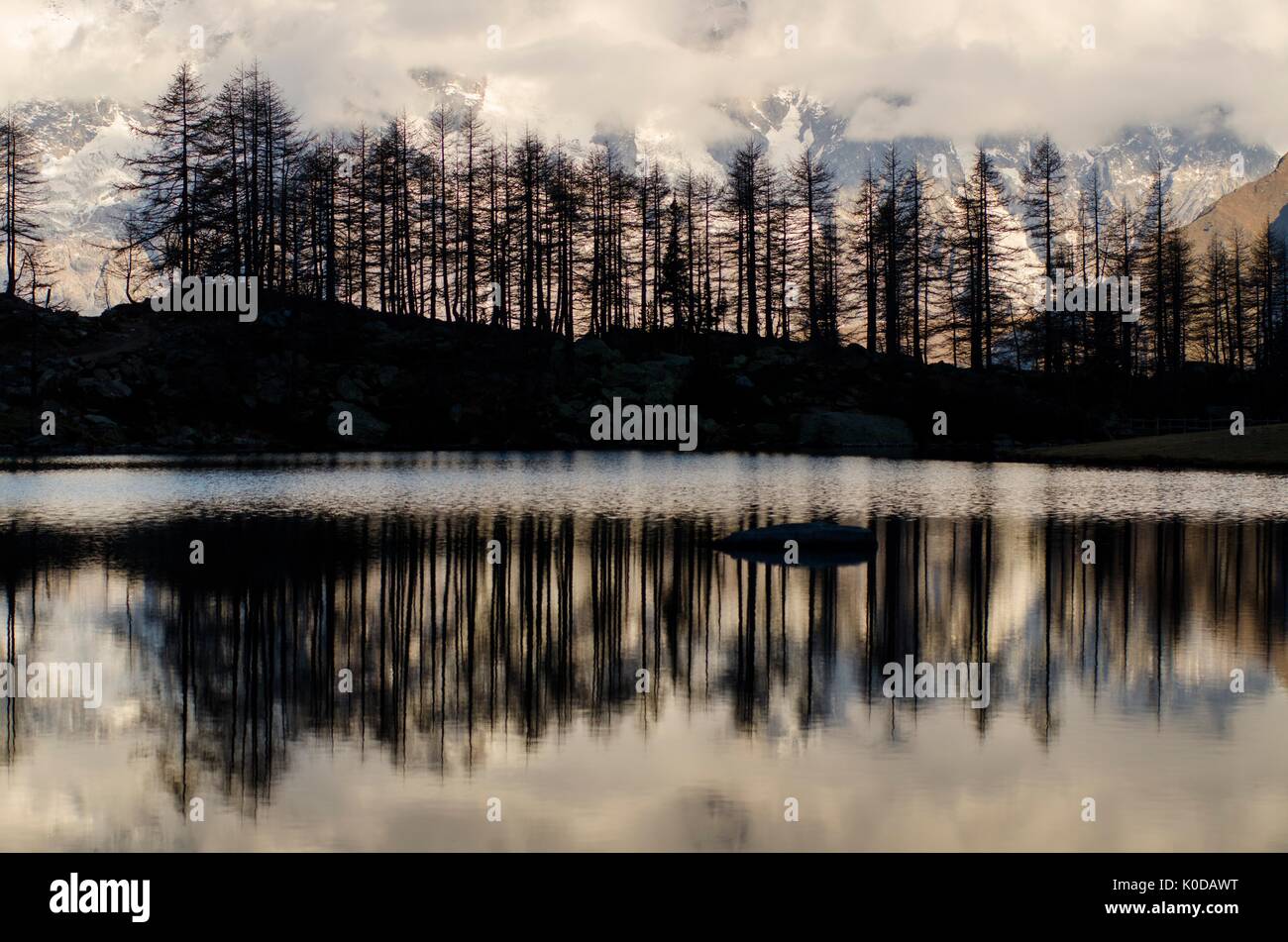 Silhouette di larici sul lago (Lago di Arpy, Valle d'Aosta, Italia) Foto Stock