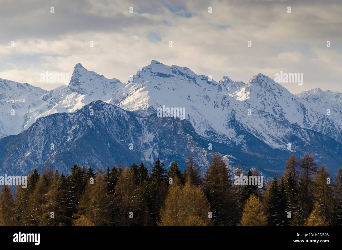 Vette innevate visto oltre il bosco (Val d'Ayas, Valle d'Aosta, Italia) Foto Stock