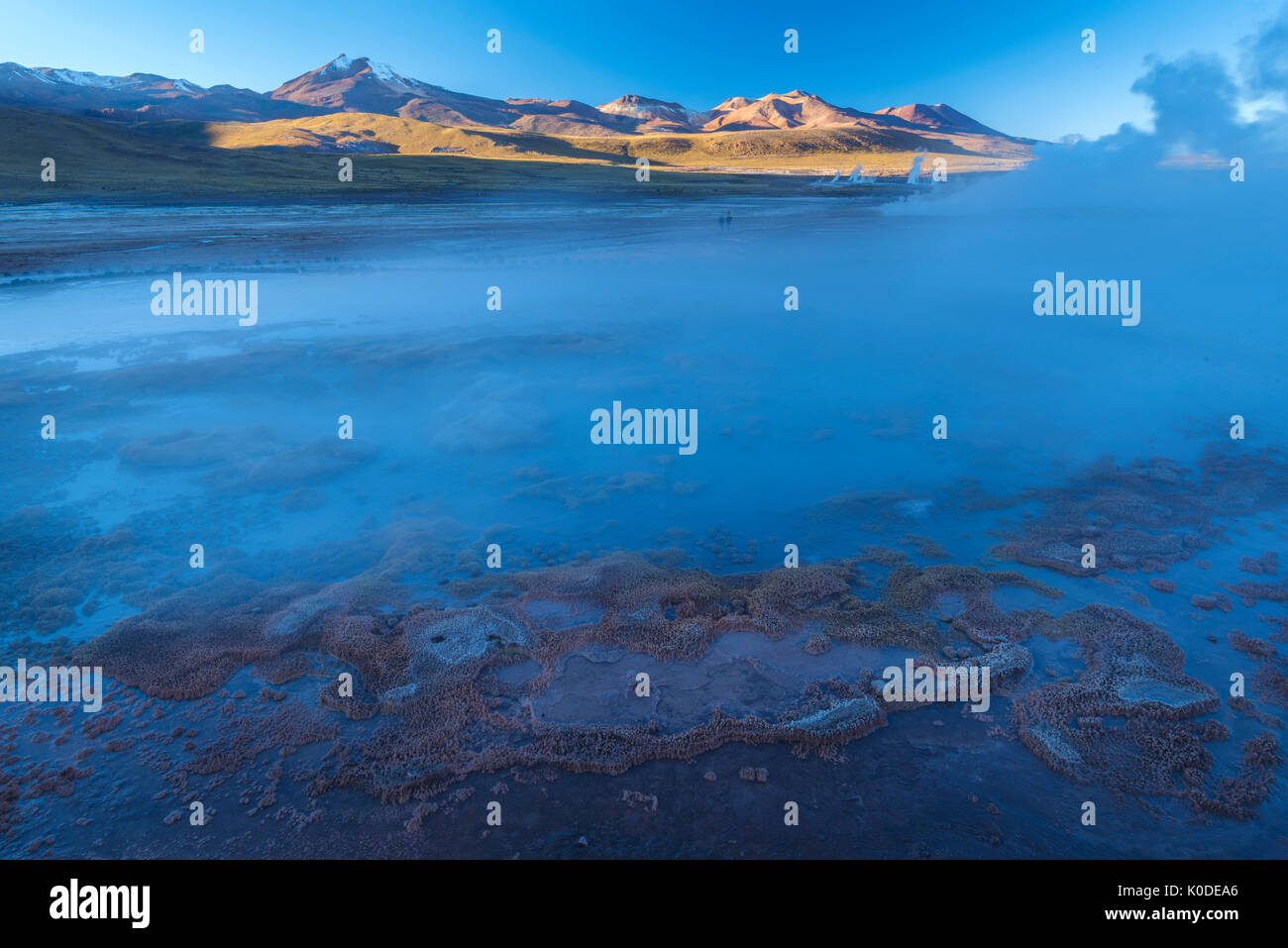 Sud America, Ande, Atacama, San Pedro de Atacama, Tatio Geyser Basin, Altiplano Foto Stock