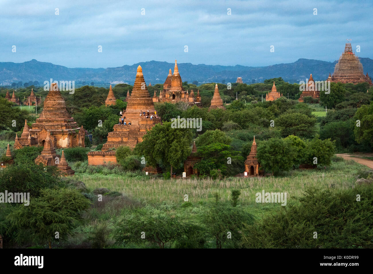 Pagode e guglie dei templi del sito Patrimonio Mondiale nella luce del mattino a Bagan, Maynmar Foto Stock
