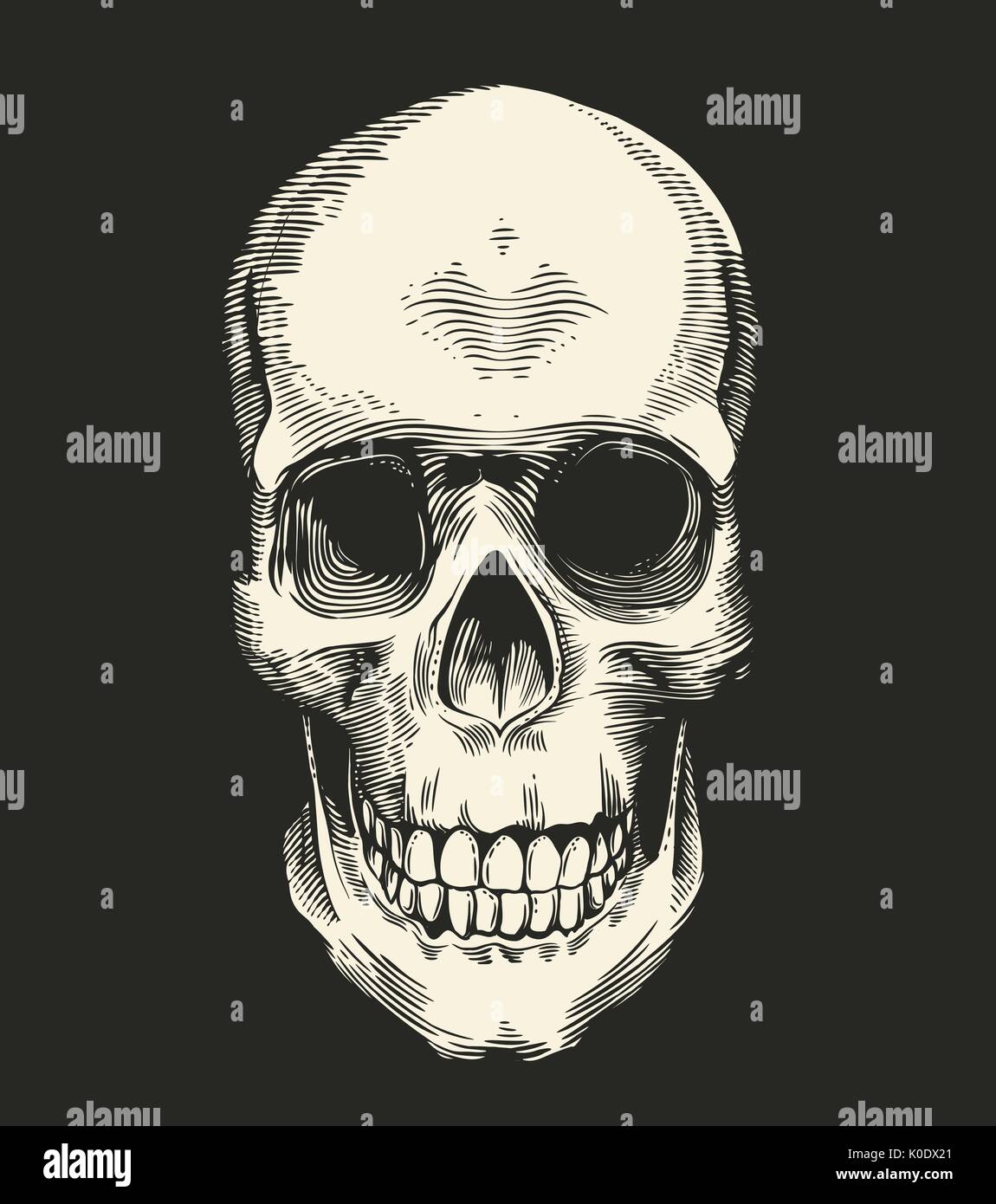 Cranio umano prelevato nel retro stile di attacco isolati su sfondo nero, vista frontale. Concetto di orrore e il male. Monocromatico illustrazione vettoriale per cartolina, logotipo, banner, tatuaggi, T-shirt stampa. Illustrazione Vettoriale