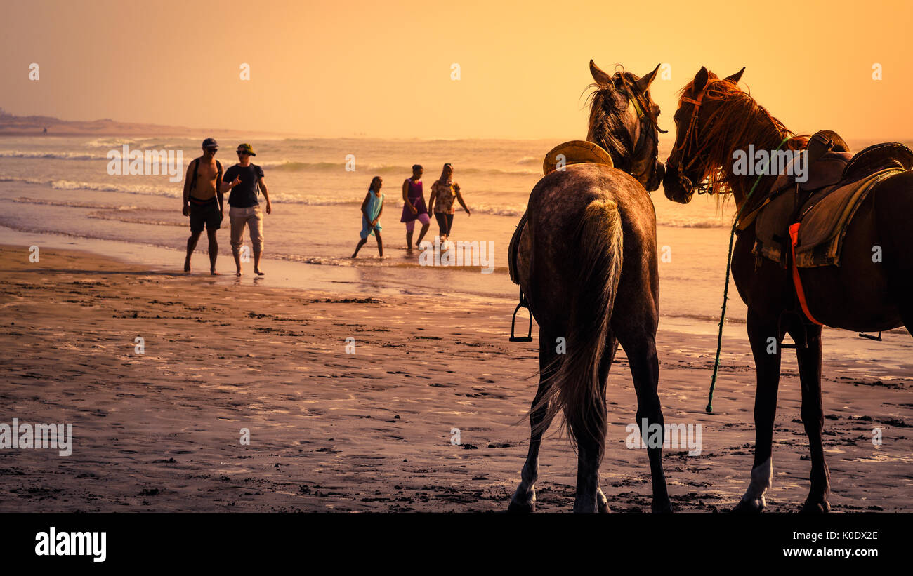 A cavallo sulla spiaggia Foto Stock