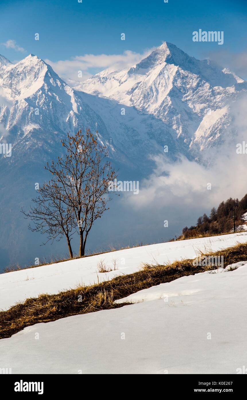 Alberi e paesaggio (Saint-Barthelemy Valley, Valle d'Aosta) Foto Stock