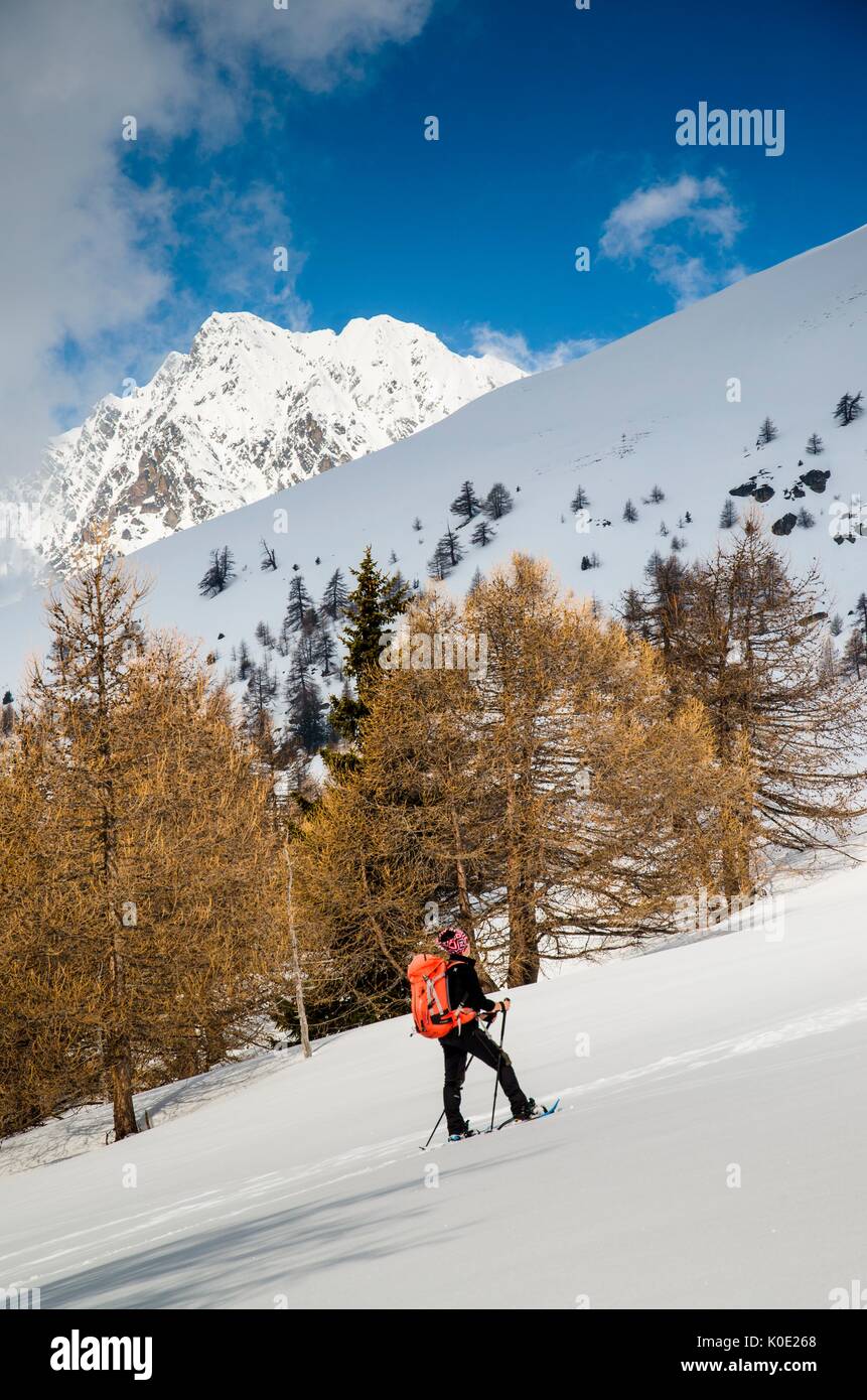 Salita fuori del bosco (Saint-Barthelemy Valley, Valle d'Aosta) Foto Stock