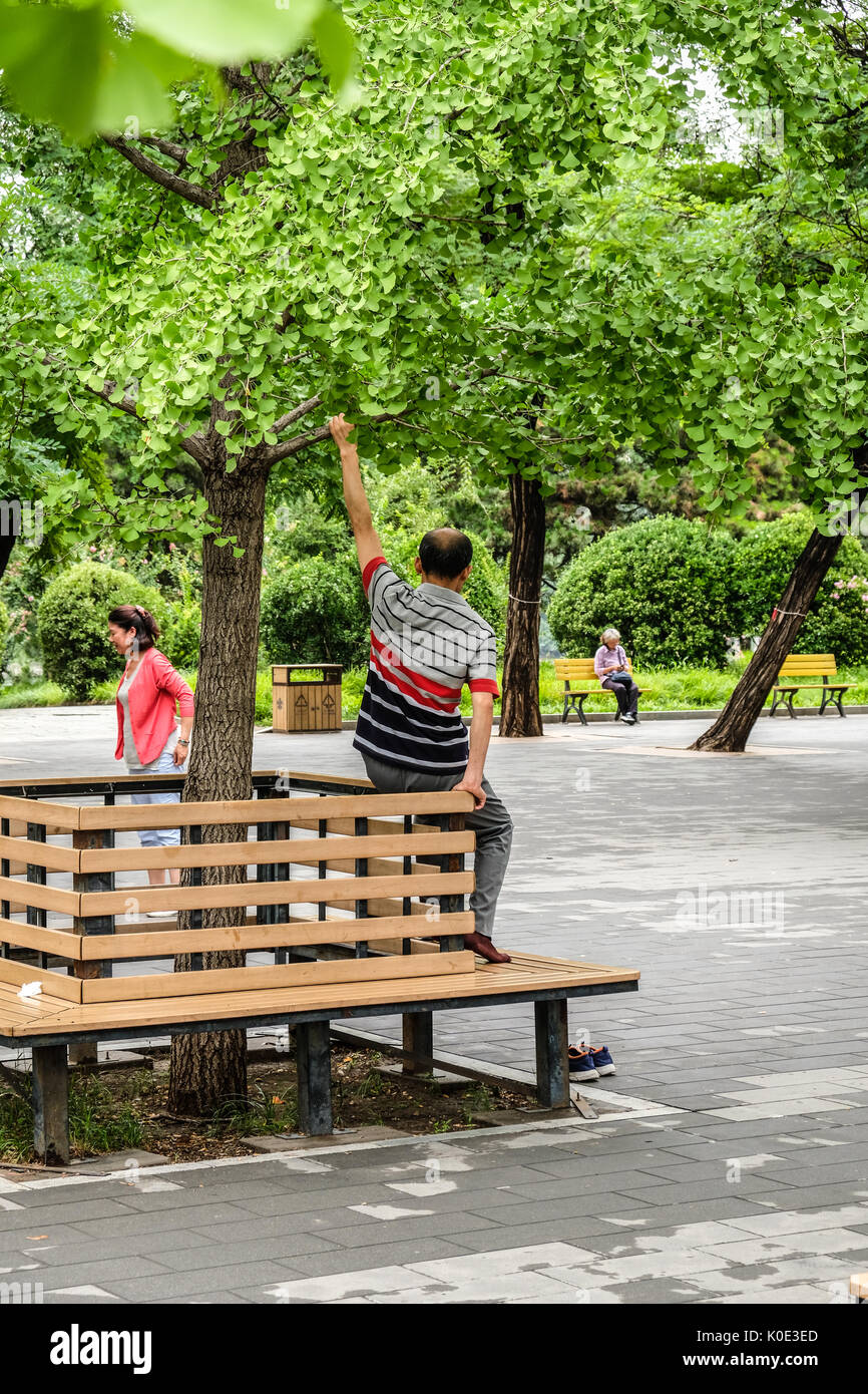 Un uomo cinese era lo stiramento del suo braccio utilizzando il ramo di un albero in un parco pubblico Foto Stock