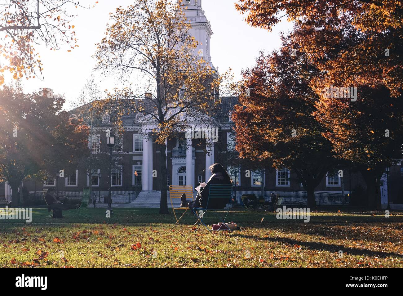 Gli studenti si siedono sulle sedie a sdraio che studiano di fronte a Gilman Hall nel quadrante lasciato coperto di Keyser nel campus Homewood della Johns Hopkins University di Baltimora, Maryland, 2015. Cortesia Eric Chen. Foto Stock