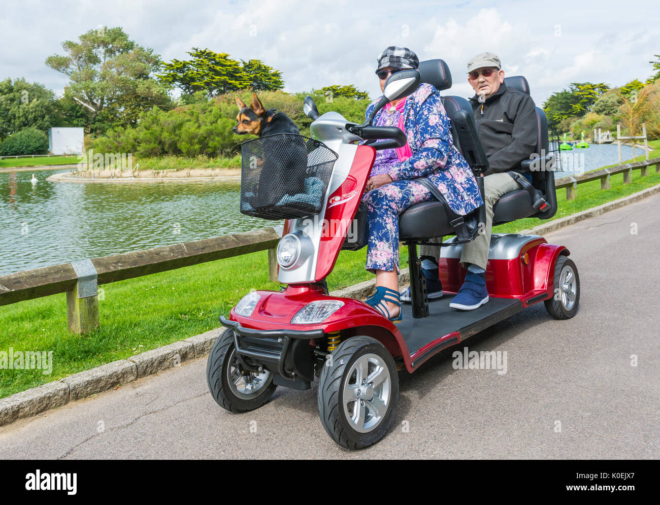 Kymco 2 posti la mobilità elettrica scooter con un cane di equitazione in cestello anteriore. Disabilità scooter per disabili. Dual persona. 2 sedili. Foto Stock