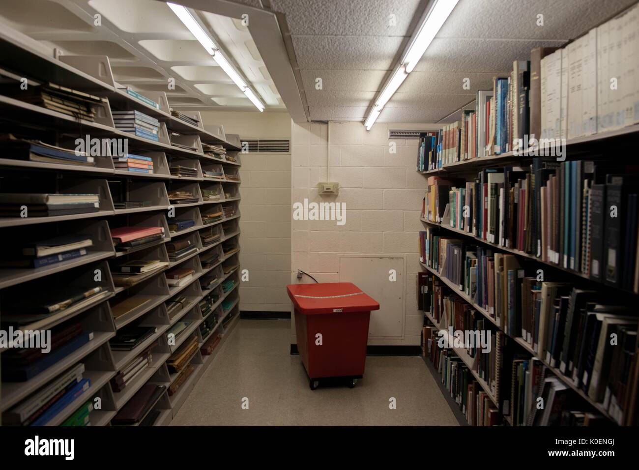 Pile di libri in scaffali di Milton S. Eisenhower biblioteca di Johns Hopkins University, 1996. La cortesia Eric Chen. Foto Stock