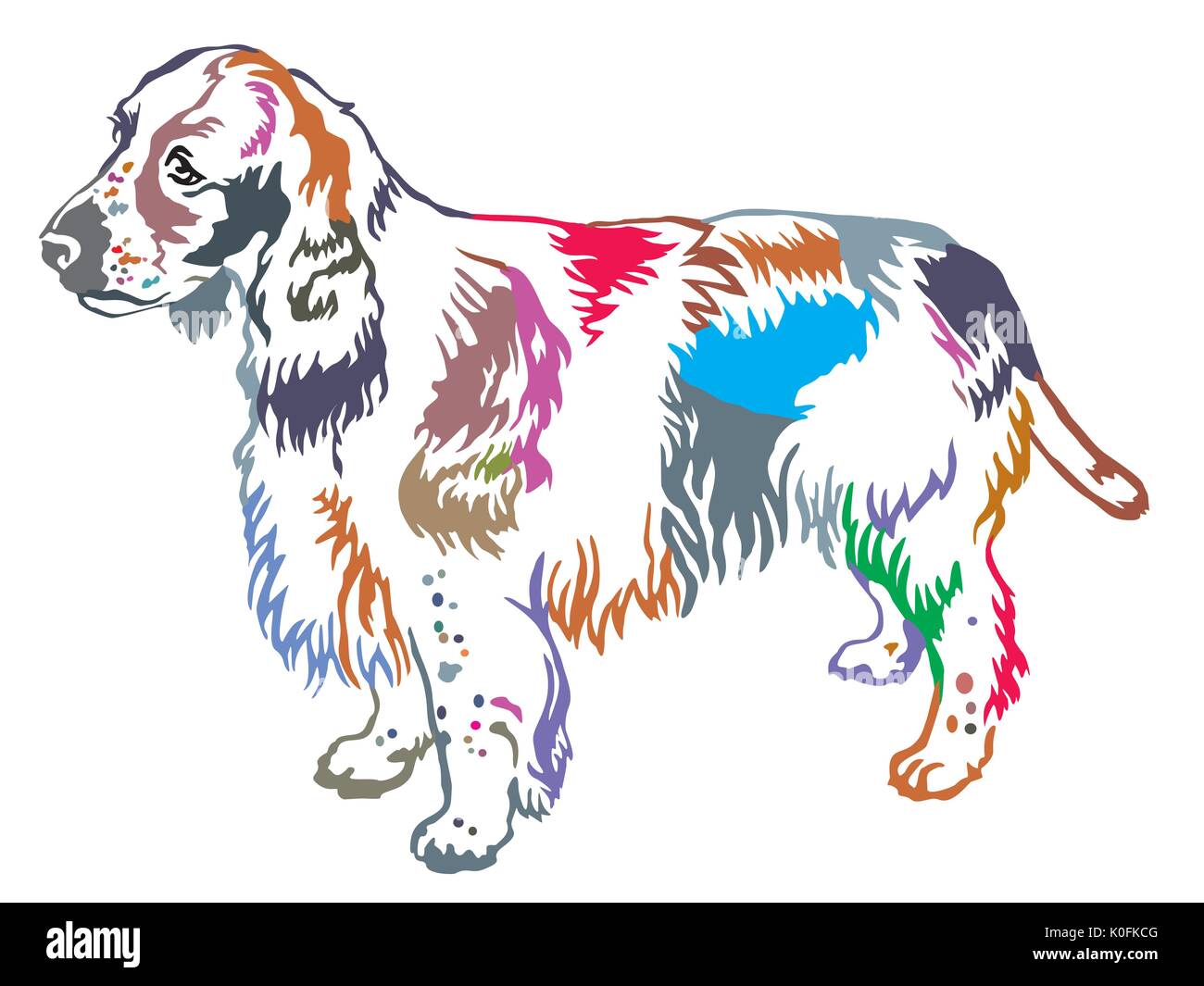 Decorativo colorato ritratto di standing in profilo cane English Springer Spaniel, vettore illustrazione isolato su sfondo bianco Illustrazione Vettoriale