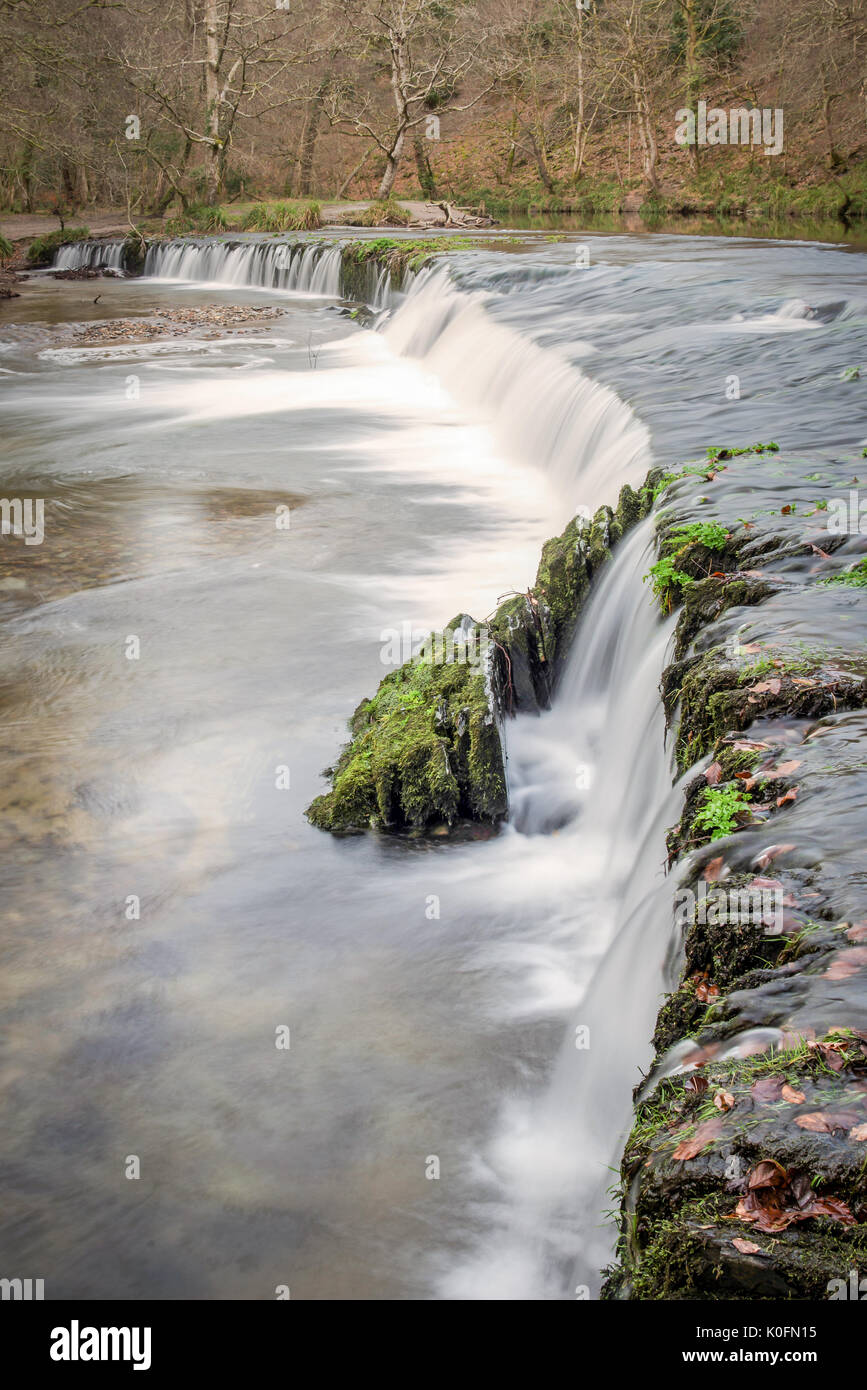 Una piccola cascata nel cuore del bosco del Parco Nazionale di Dartmoor, Devon, Regno Unito. Foto Stock