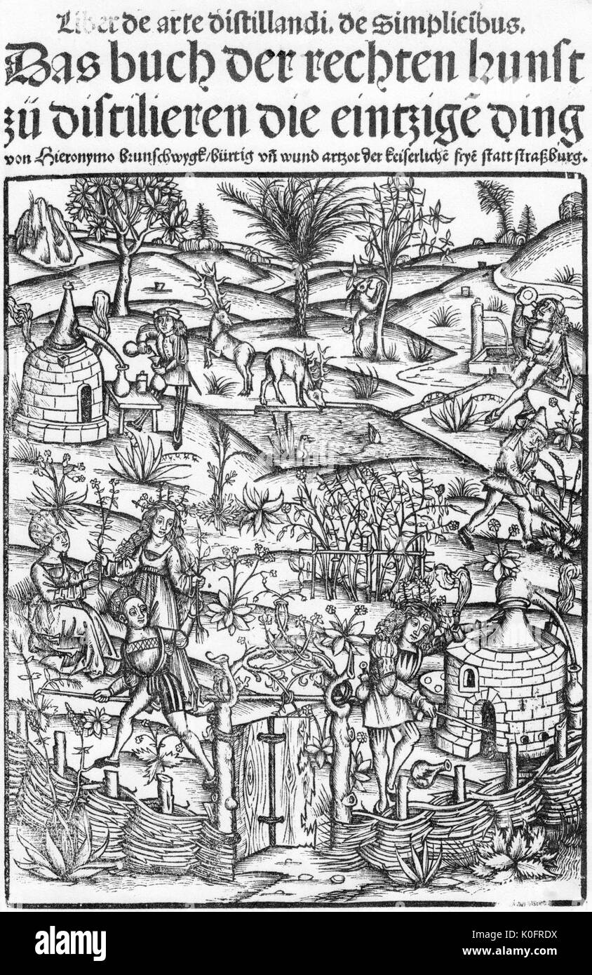 HIERONYMUS BRUNSCHWIG ((c 1450-C 1512) medico tedesco, chirurgo e botanico. Pagina del titolo del suo libro 1500 Liber de arte distillandi de simplicibus Foto Stock