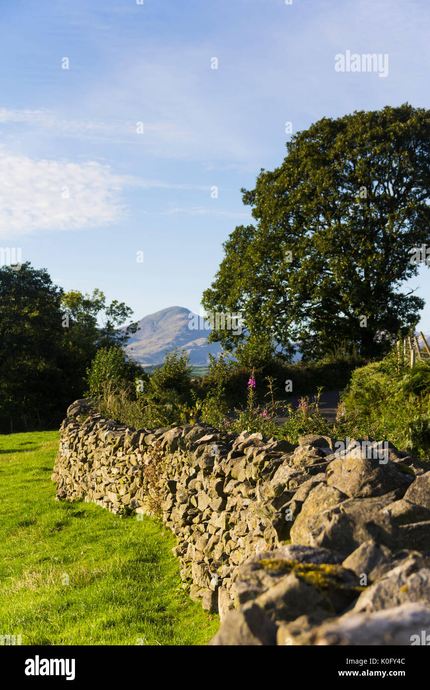 Lake District secco muro di pietra che conduce verso i lontani Lakeland fells dell uomo vecchio di Coniston. Foto Stock