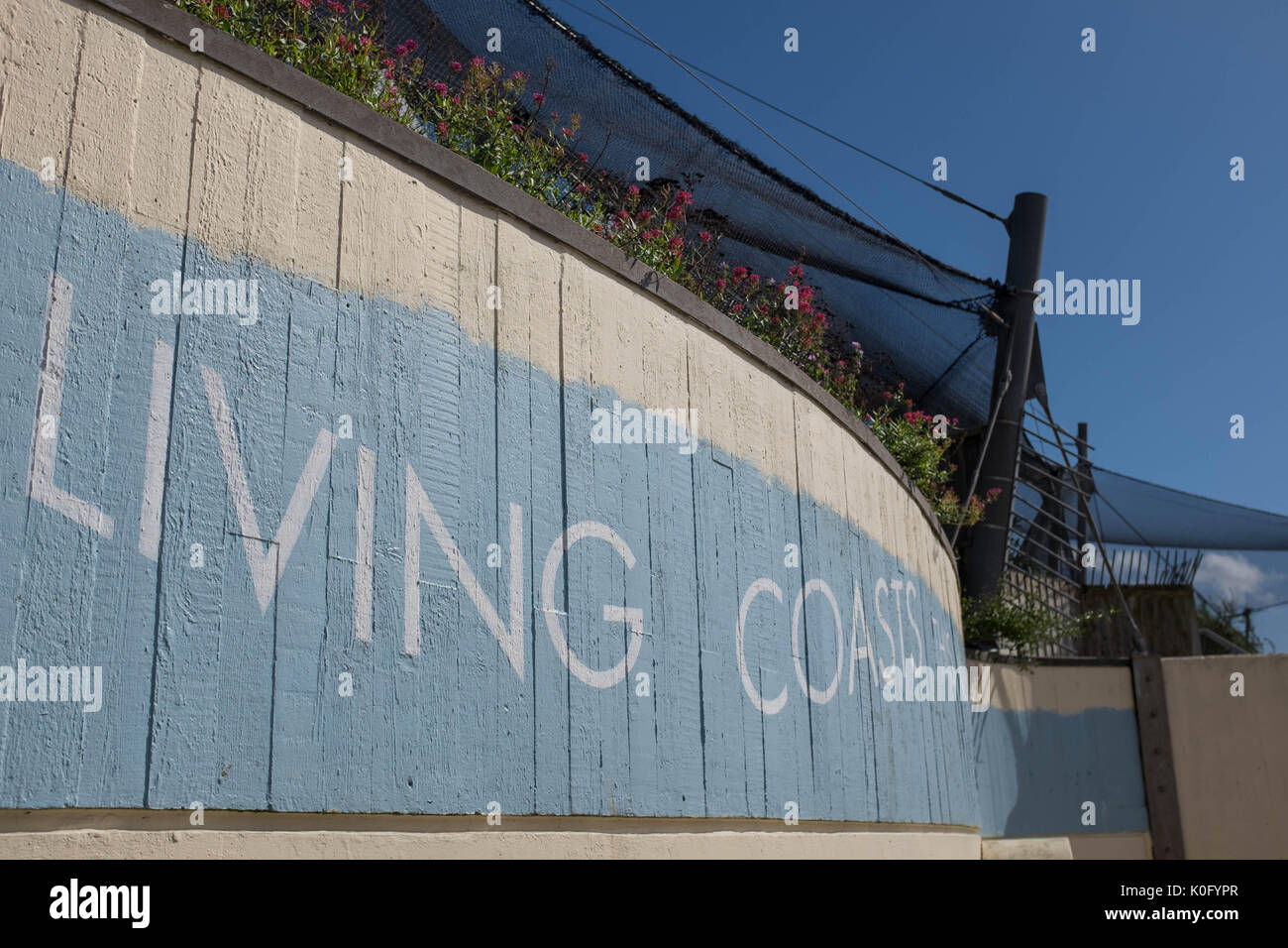 Living Coasts attrazione, Torquay, Devon Foto Stock