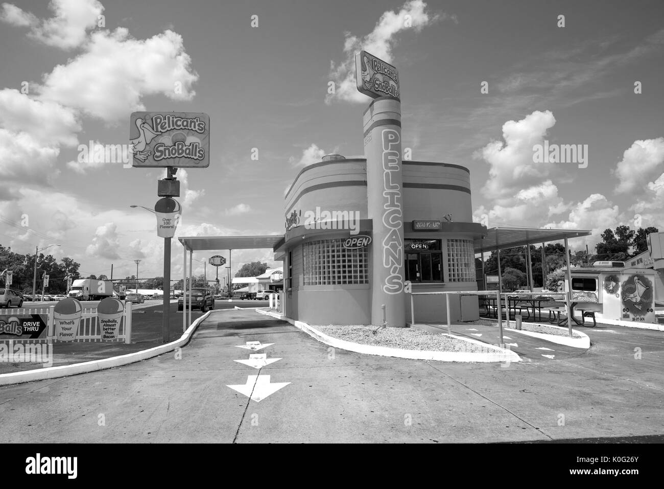 Pellicani Snowballs in Lake City, Florida. Foto Stock