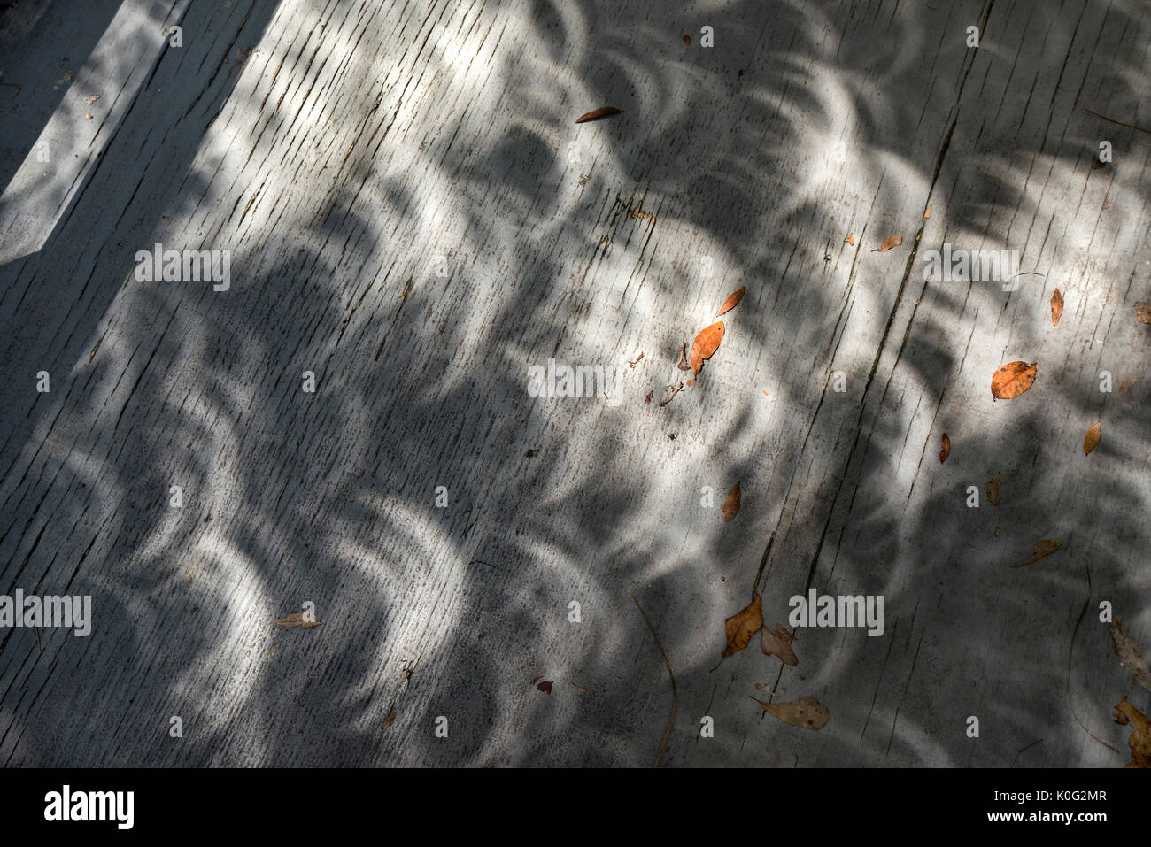 Eclissi solare del 8-21-17, come si vede in North Central Florida. Foto Stock