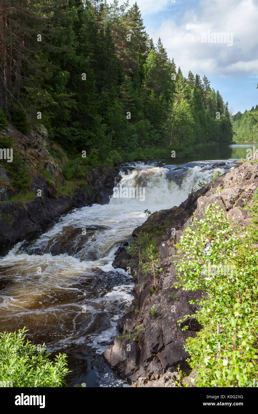 La cascata Kivach cascata. Si trova sul fiume Suna nel quartiere Kondopoga, Carelia del nord, Russia Foto Stock