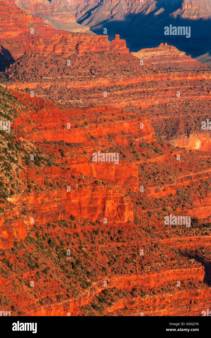 Presto la luce mette in evidenza le pareti del Grand Canyon come visto da Yaki punto lungo il bordo Sud del Grand Canyon National Park, Arizona, Stati Uniti. Foto Stock