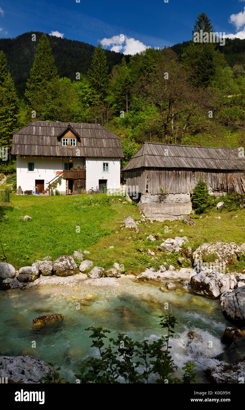 Bovec tradizionale Trenta agriturismo sul fiume Vrsnik al monumento naturale di Soca Vrsnica Gorge Parco Nazionale del Triglav Slovenia Foto Stock