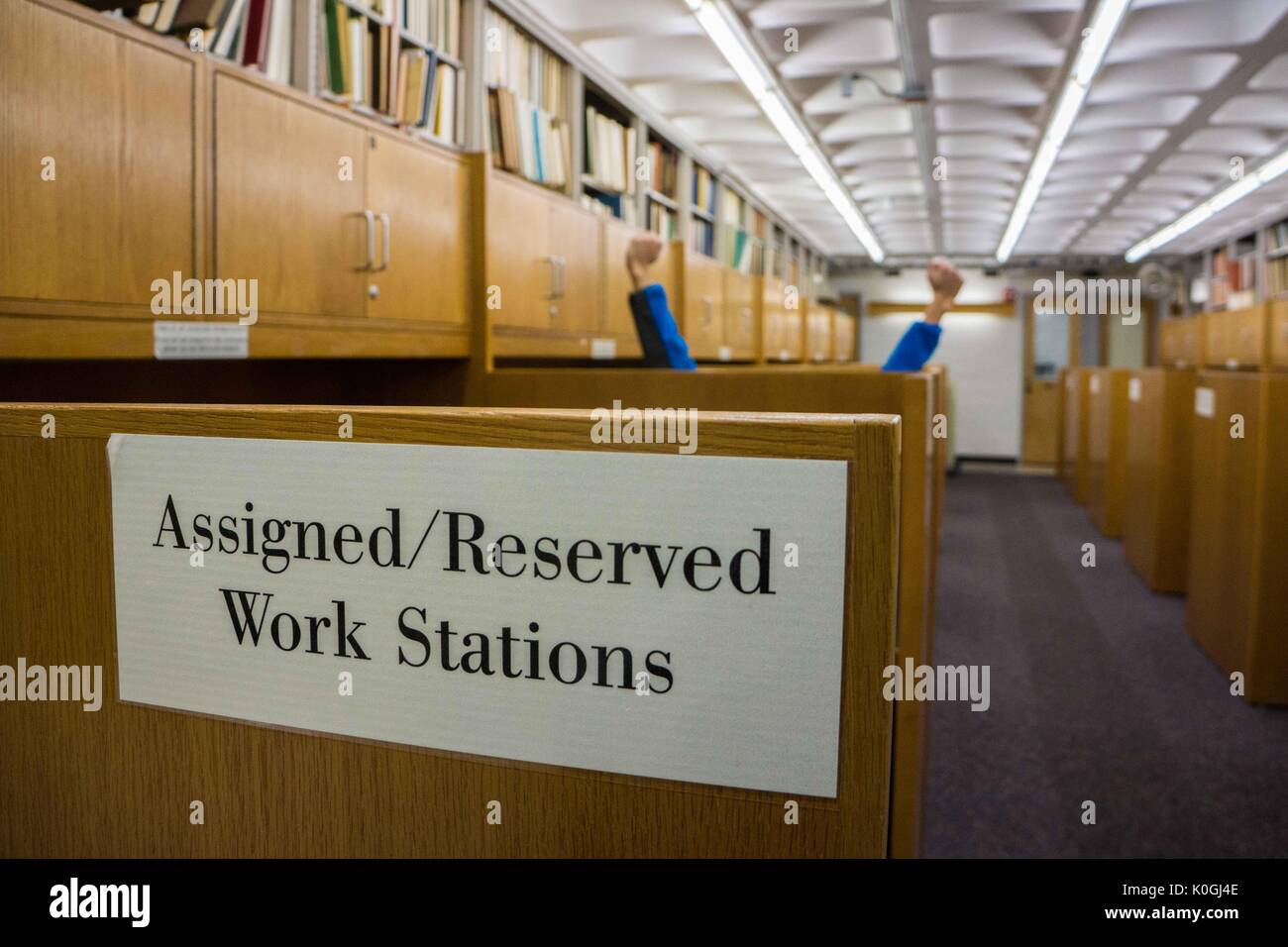 Assegnate stazioni di lavoro, con uno studente che alza le mani sopra il cubicolo, nella biblioteca Milton S. Eisenhower nel campus Homewood della Johns Hopkins University a Baltimora, Maryland, 2015. Cortesia Eric Chen. Foto Stock