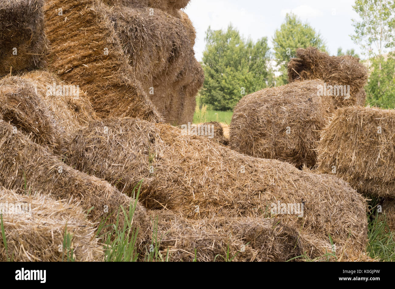 Primo piano delle balle di fieno in un villaggio. Il fieno secco pile in una scena rurale. Foto Stock