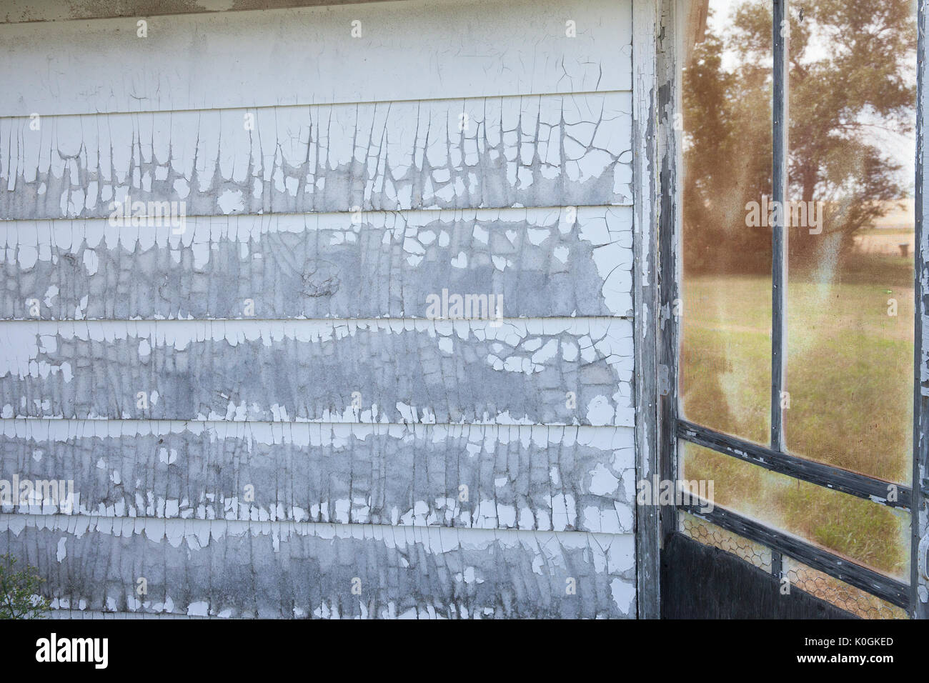Vecchio schermo porta 2 Foto Stock