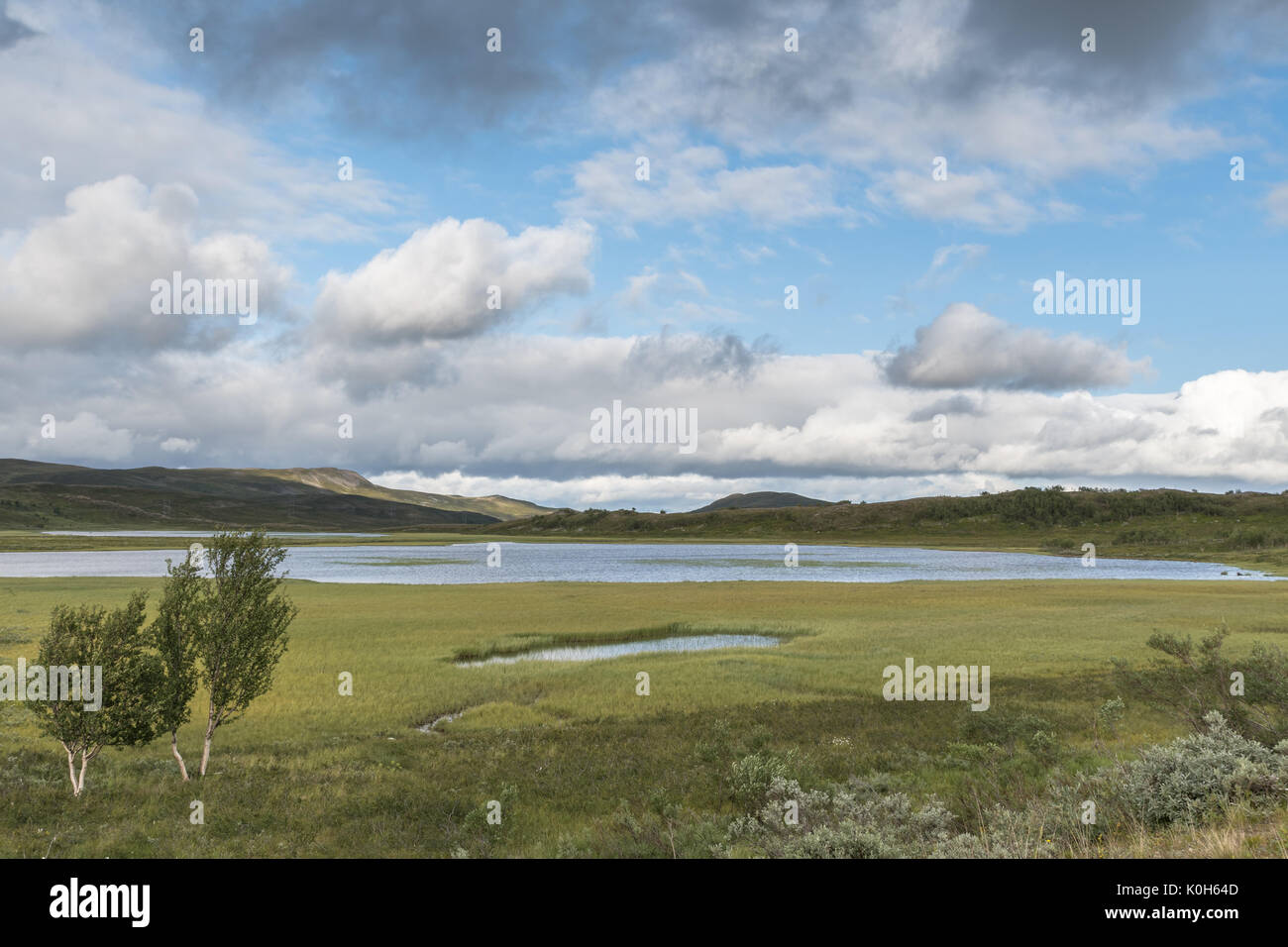 Piccolo stagno al piatto in montagna Alta Finnmark Norvegia Foto Stock