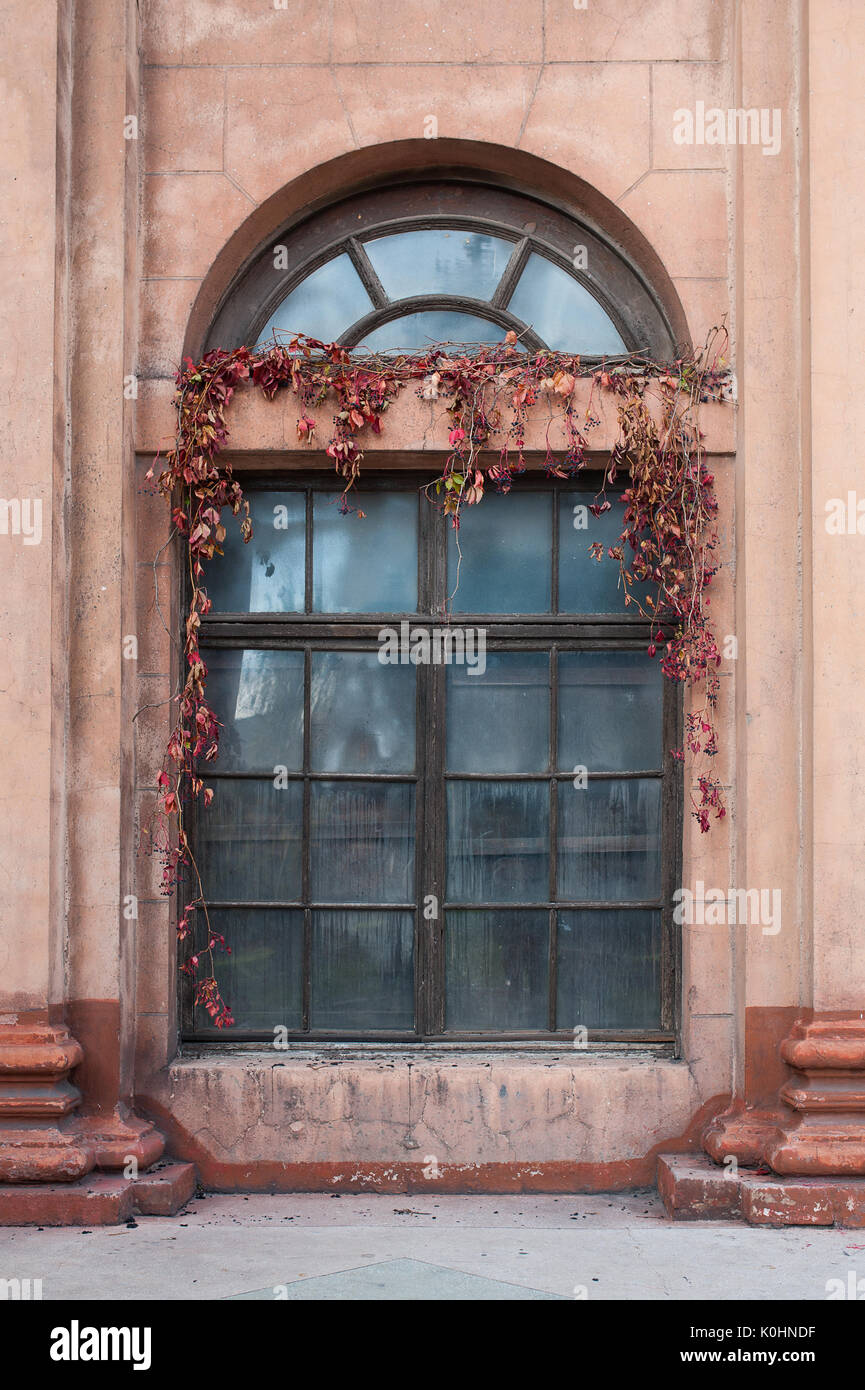 Vecchia architettura finestra con colonne Foto Stock