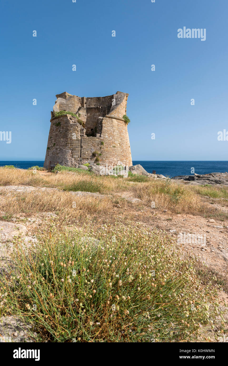 Santa Cesarea Terme, Porto Miggiano, provincia di Lecce e Salento puglia, Italia. La torre Miggiano Foto Stock