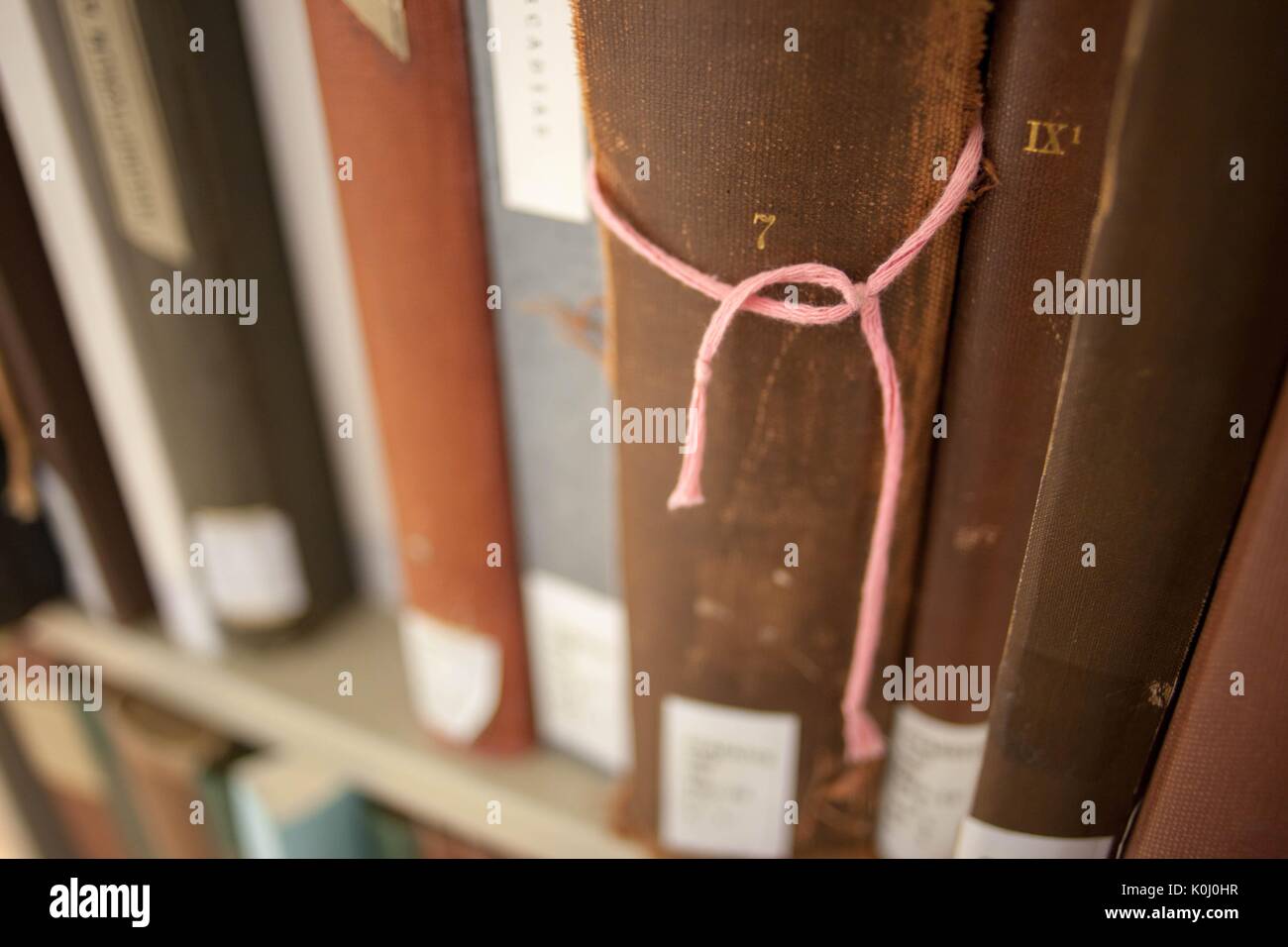 Una fila di libri nelle pile della Milton S. Eisenhower Library nel campus Homewood della Johns Hopkins University di Baltimora, Maryland, 2015. Cortesia Eric Chen. Foto Stock