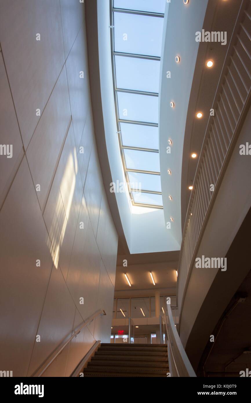 Il lucernario sopra le scale che portano al primo livello, q livello del brody learning commons, 2014. cortesia eric chen. Foto Stock