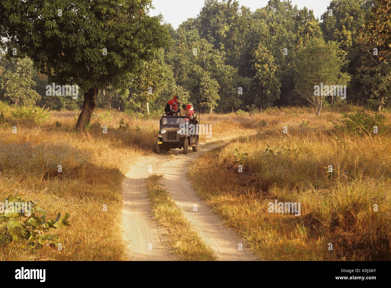 Indian turisti su Safari, Parco Nazionale di Kanha, Madhya Pradesh, India Foto Stock