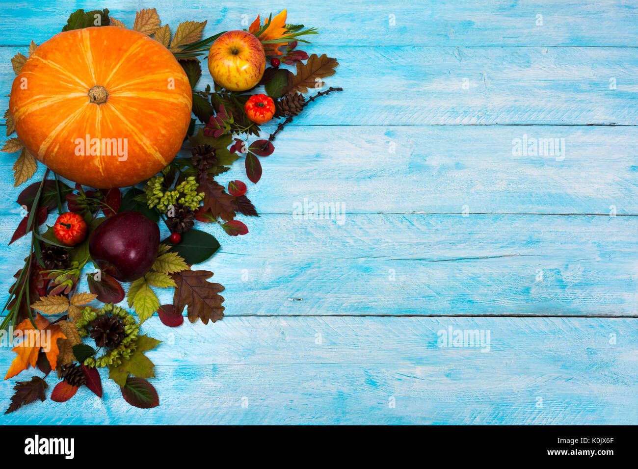 Felice ringraziamento saluto con la zucca, mele e foglie di autunno sul lato sinistro del blu tavolo in legno. autunno sfondo con verdure di stagione un Foto Stock