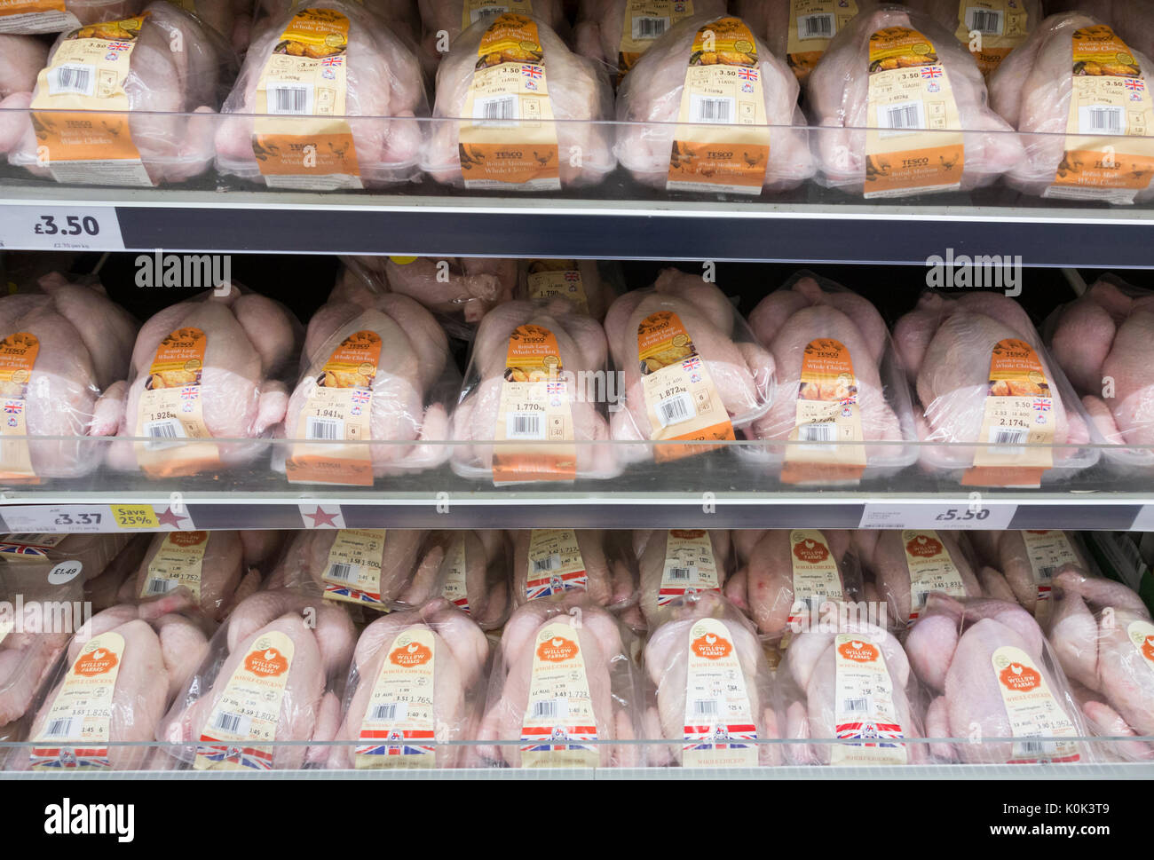 Polli di fresco nel supermercato Tesco. Regno Unito Foto Stock