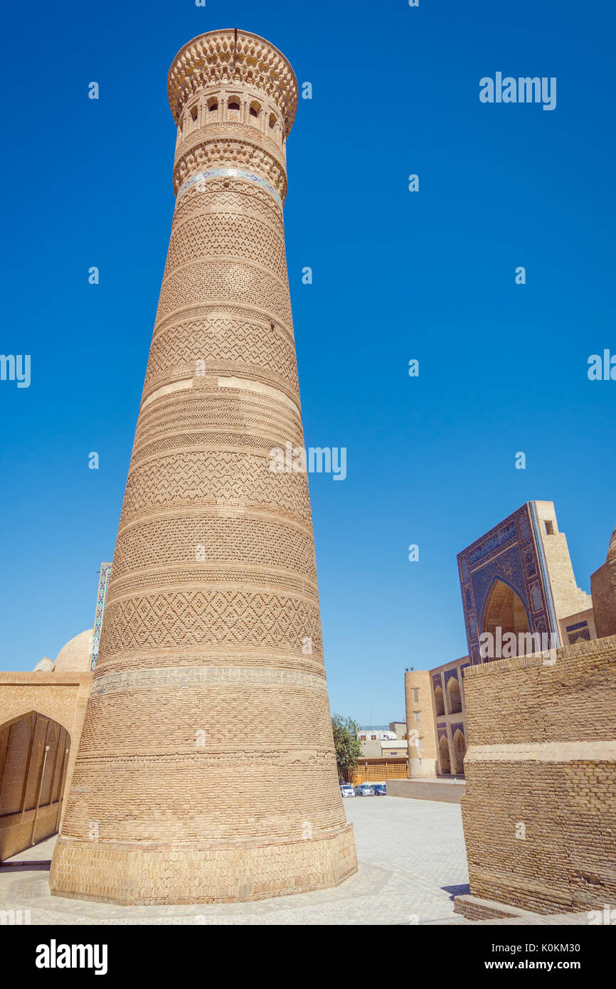 Vista Minareto Kalyan, punto di riferimento di Bukhara, Uzbekistan Foto Stock