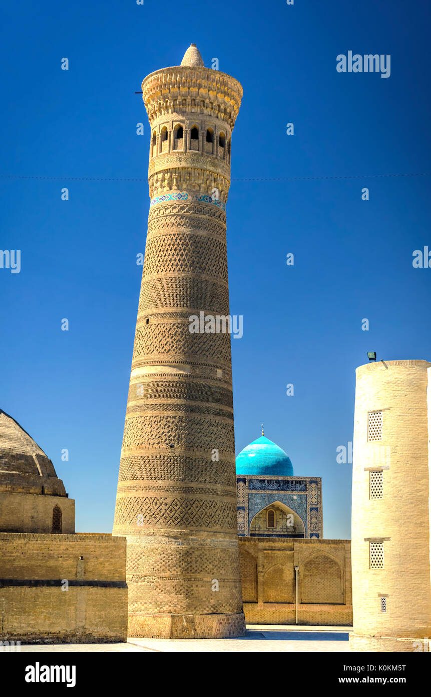 Kalyan Minareto Kalyan e moschea, Bukhara, Uzbekistan Foto Stock