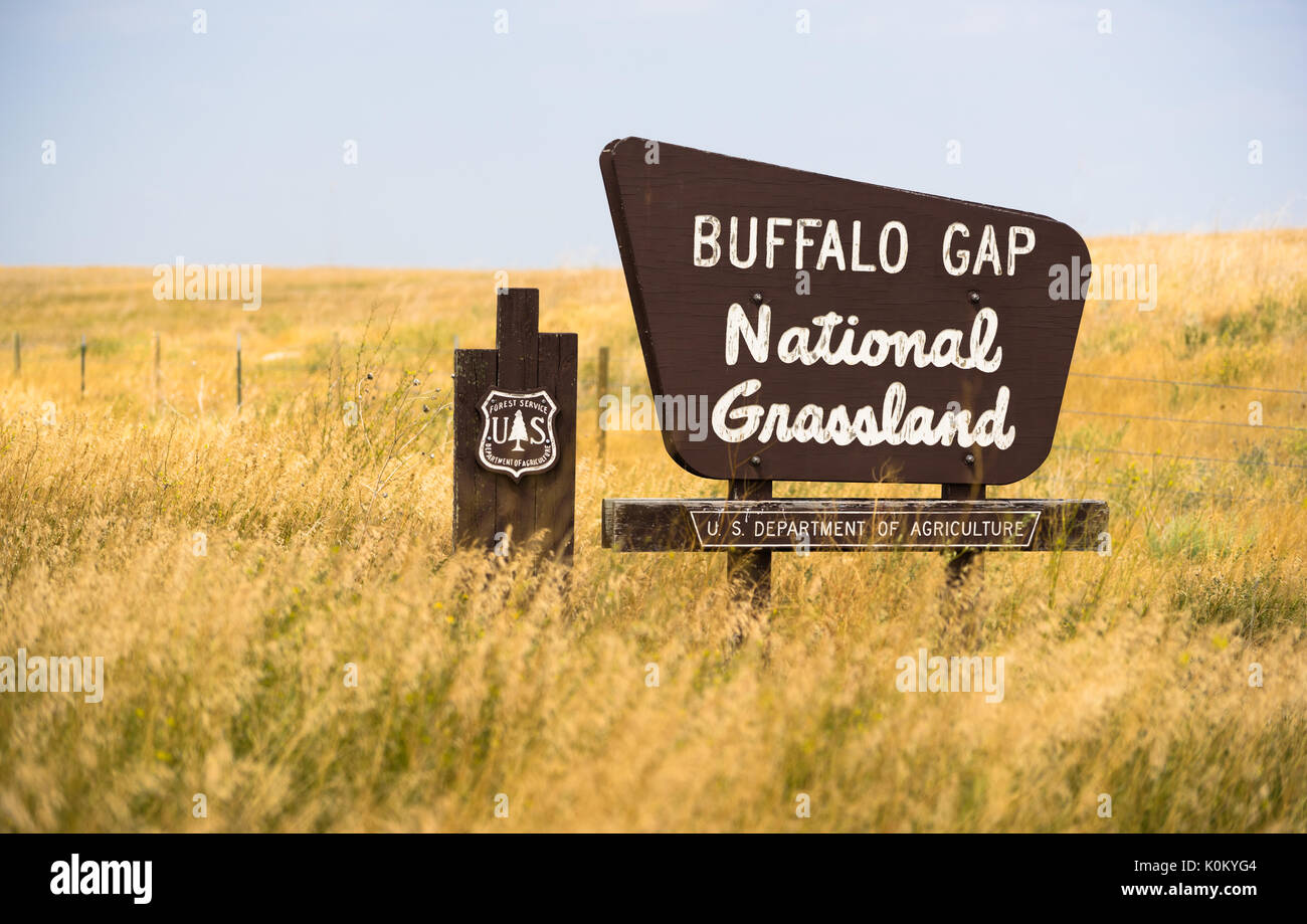 Spettatore entra la Buffalo Gap National prateria Foto Stock