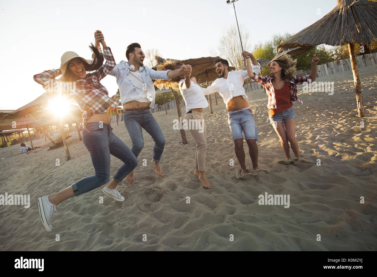Gruppo di amici sulla spiaggia divertendosi Foto Stock