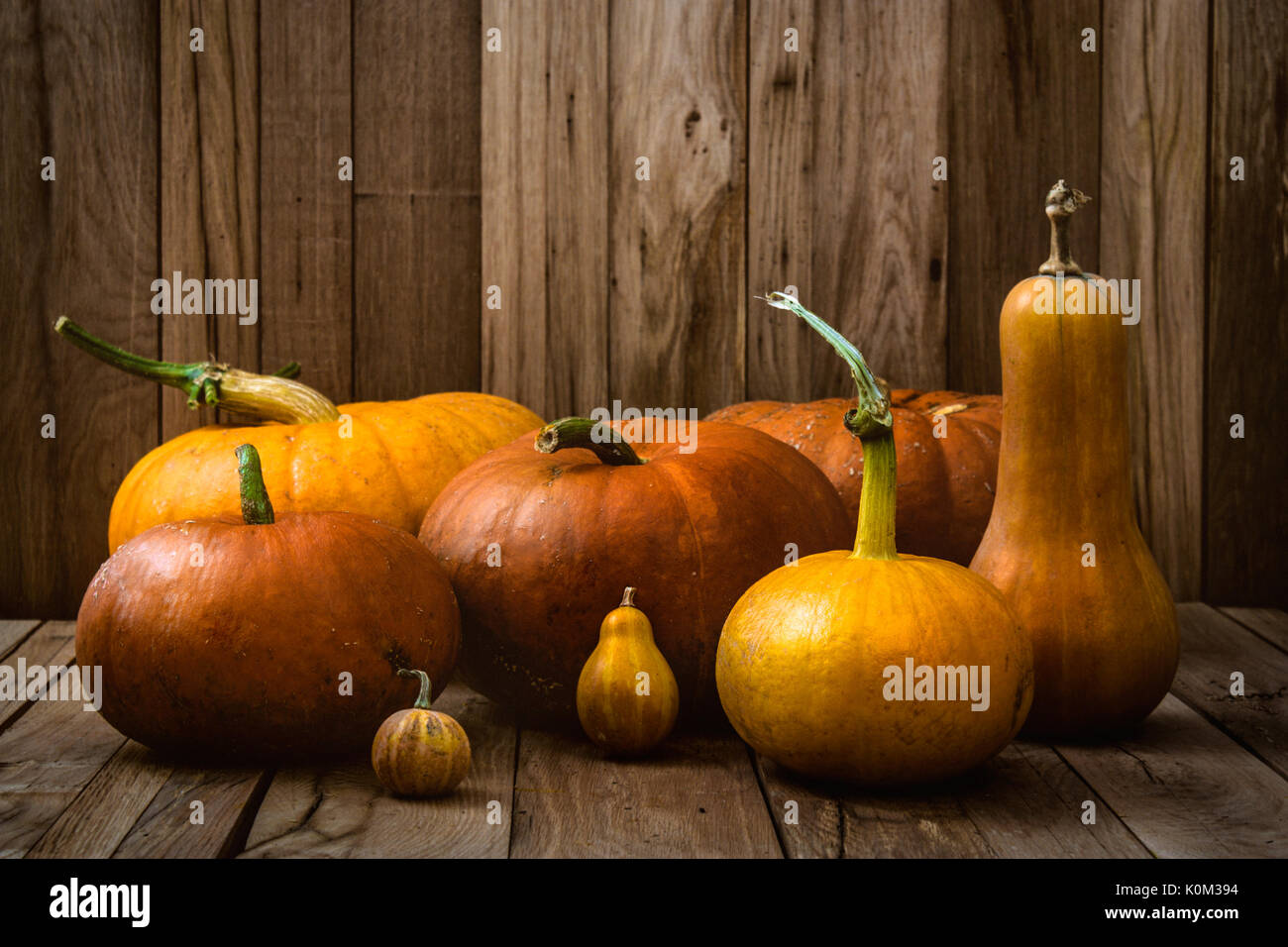 Concetto di ringraziamento. Zucche sul legno antico. Frutto di autunno Foto Stock