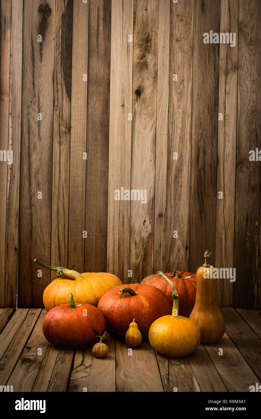Concetto di ringraziamento. Zucche sul legno antico. Frutto di autunno Foto Stock