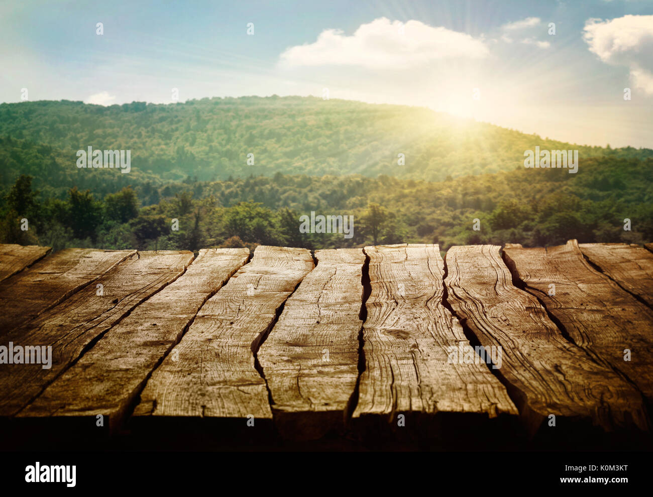 Un tavolo di legno. Il design a molla con i boschi di pini e display vuoto. Spazio per il montaggio Foto Stock