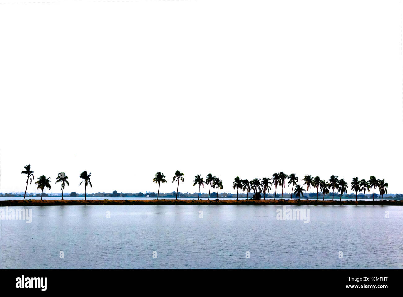 Lago nalban, Calcutta, West Bengal, India, Asia Foto Stock