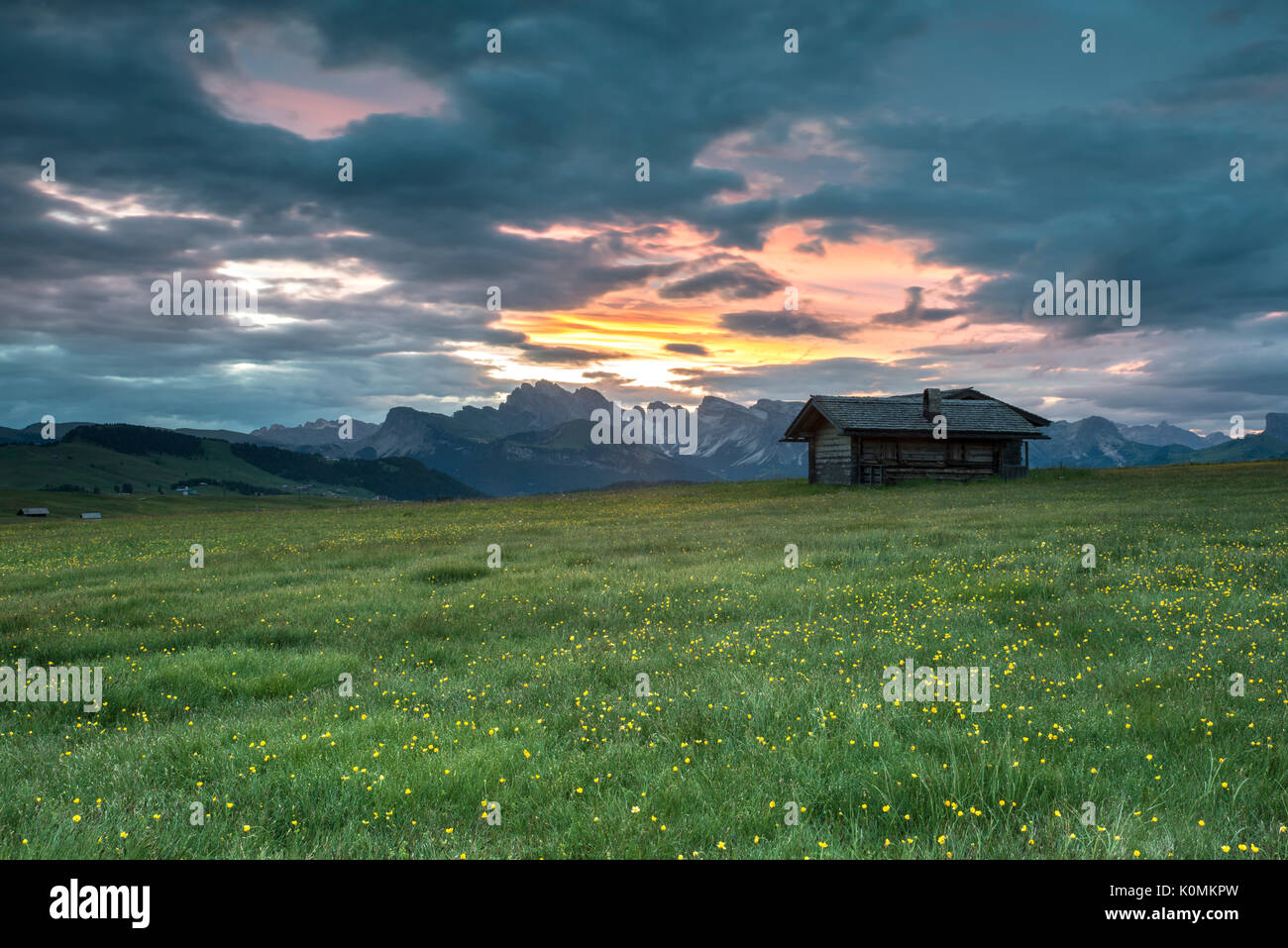 Alpe di Siusi / Seiser Alm, Dolomiti, Alto Adige, Italia. Sunrise sull Alpe di Siusi / Seiser Alm. Sullo sfondo le Odle Foto Stock