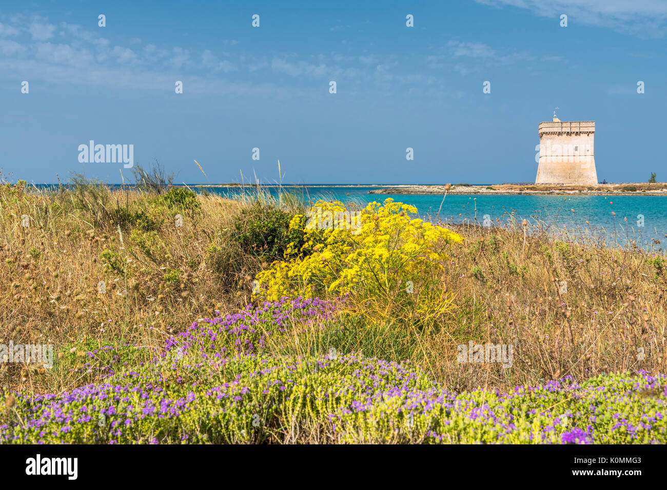 Porto Cesareo, provincia di Lecce e Salento puglia, Italia. La Chianca Torre Foto Stock