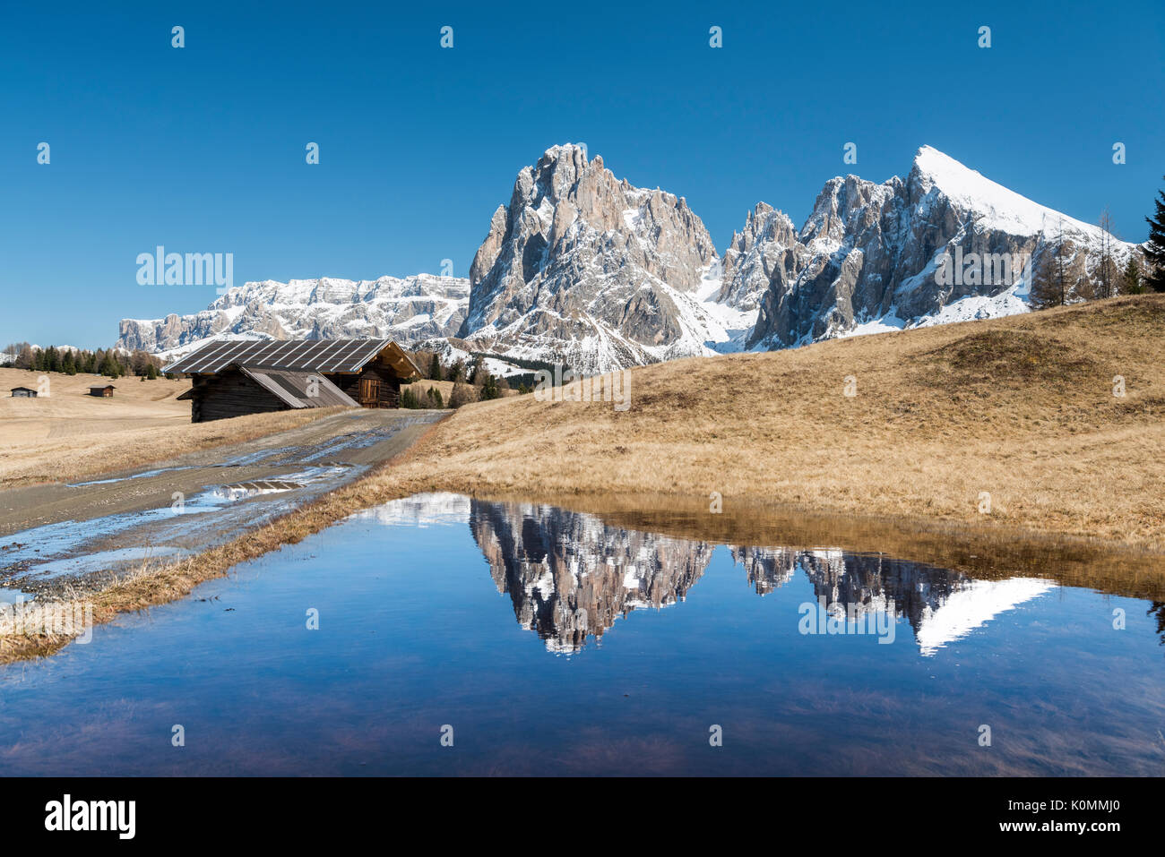Alpe di Siusi / Seiser Alm, Dolomiti, Alto Adige, Italia. Riflessioni sull' Alpe di Siusi / Seiser Alm Foto Stock