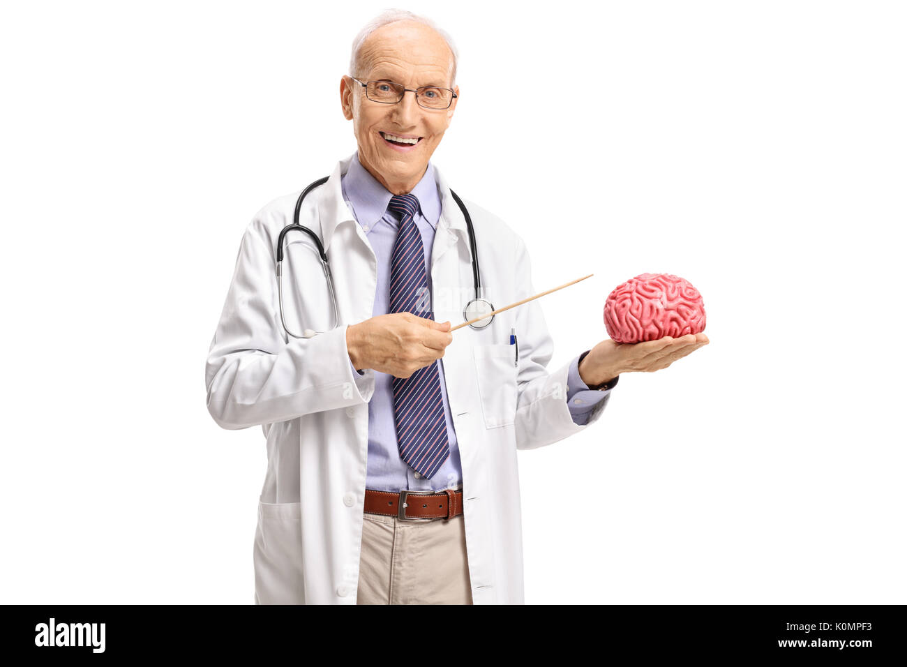 Anziani medico puntando verso un modello del cervello con un bastone isolato su sfondo bianco Foto Stock