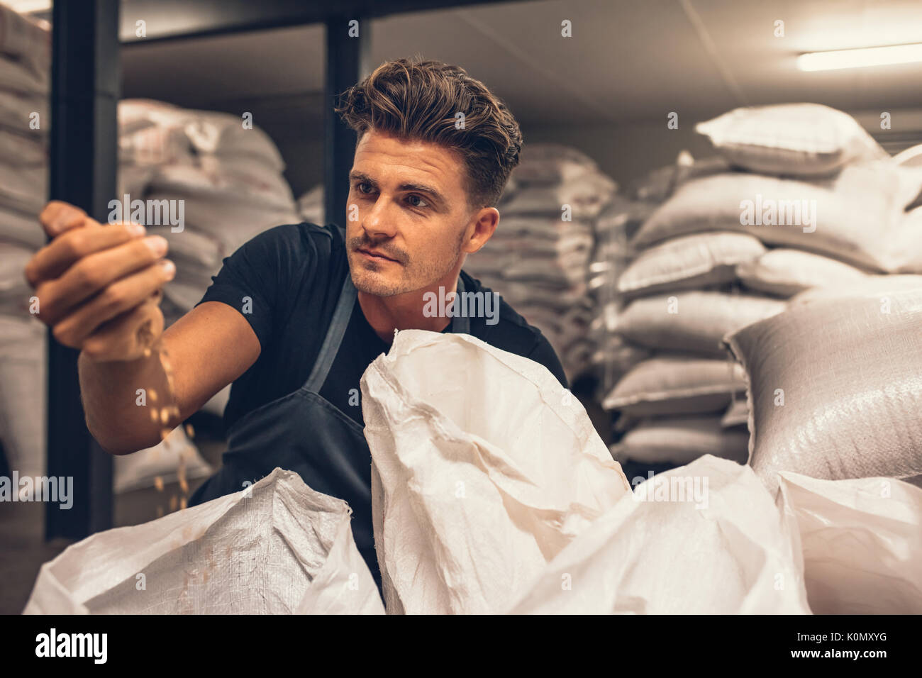 Il birraio esaminando l'orzo da gunny borsa alla fabbrica di birra. Giovane maschio dipendente controllare i semi di orzo prima che vengano inserite nel sistema di br Foto Stock